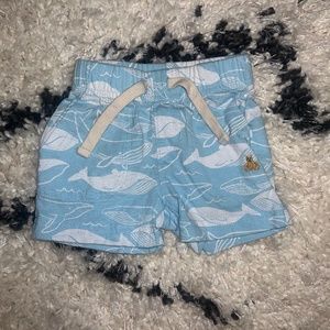 Baby boy shorts